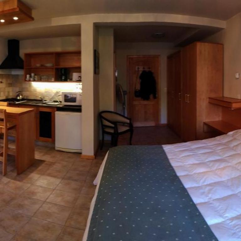 Cálido departamento en San Martin de los Andes con piscina climatizada - Apartamento de 1 dormitorio - 11