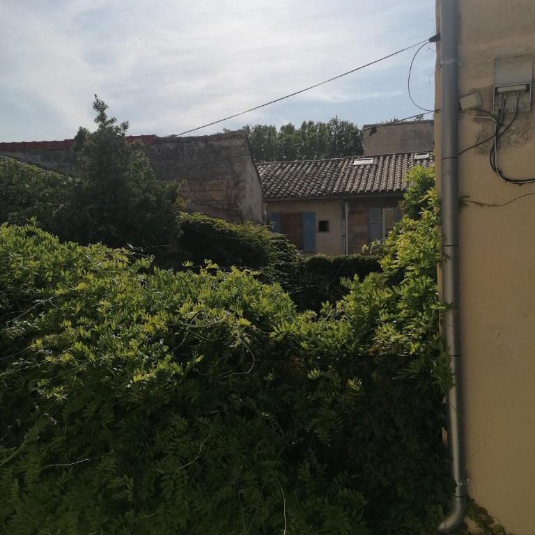 coquette maison avec cour intra muros - Haus mit 2 Schlafzimmern - 5