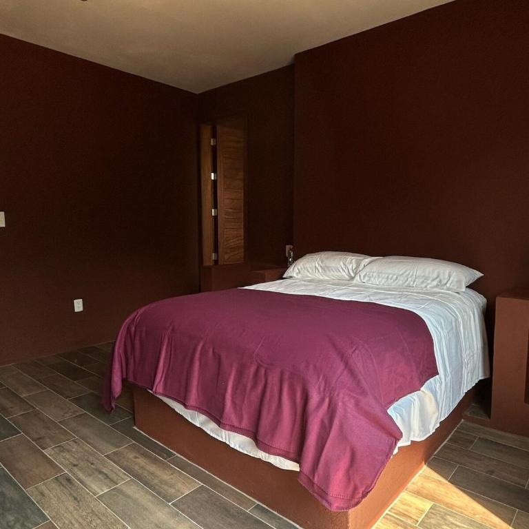 Quinta Abadía, Entire Mansion in la Primavera near Estadio Akron - One-Bedroom House - 13