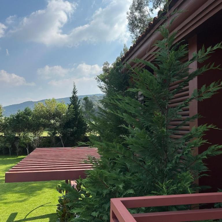 Quinta Abadía, Entire Mansion in la Primavera near Estadio Akron - One-Bedroom House - 30