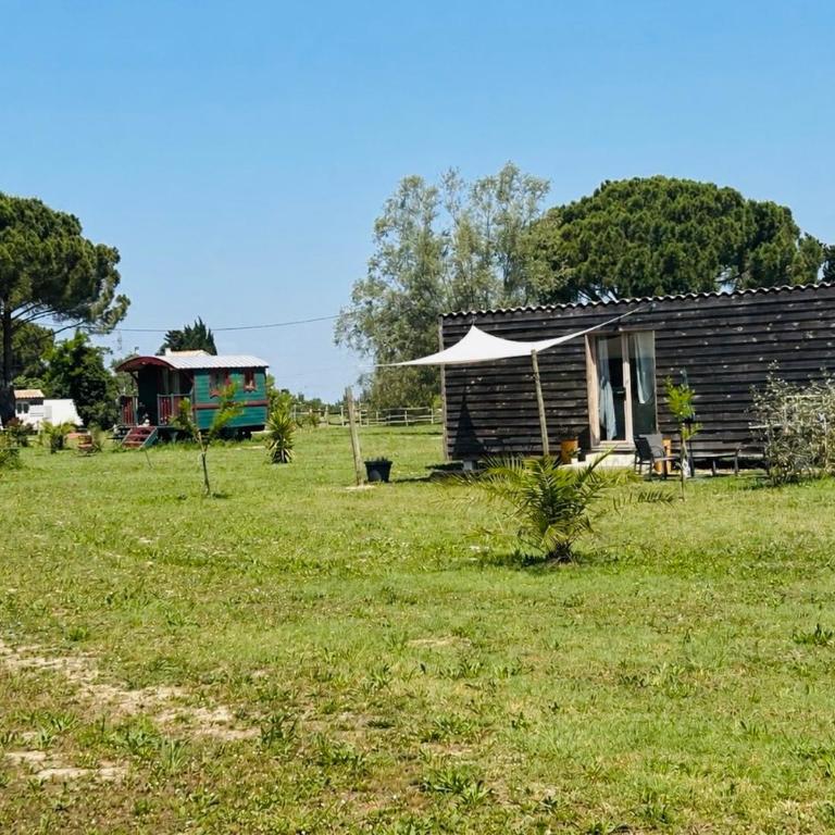 Tiny House Les brises du Sud - Haus mit 1 Schlafzimmer - 2