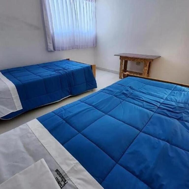 Portal del Inka Cusco hostel - Habitación compartida femenina de 4 camas - 5