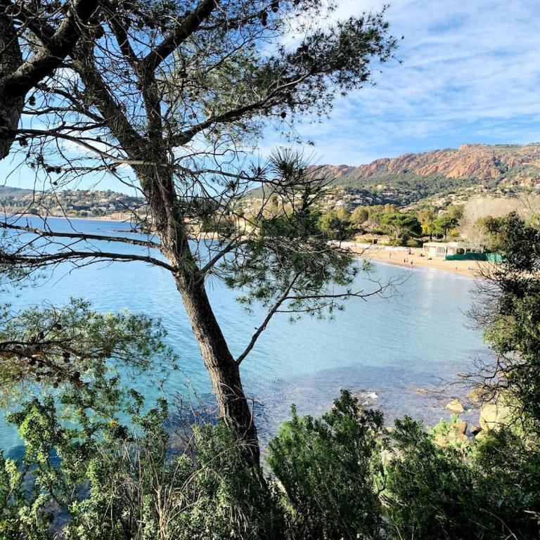 Studio climatisé avec une vue mer panoramique sur la baie d'Agay - Appartement 1 Chambre - 15