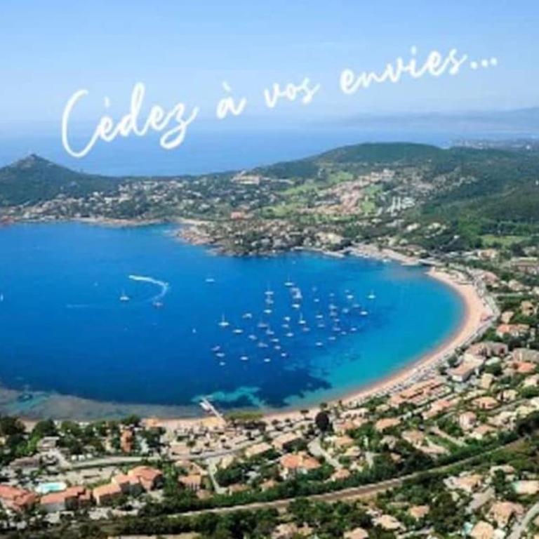 Studio climatisé avec une vue mer panoramique sur la baie d'Agay - Appartement 1 Chambre - 16