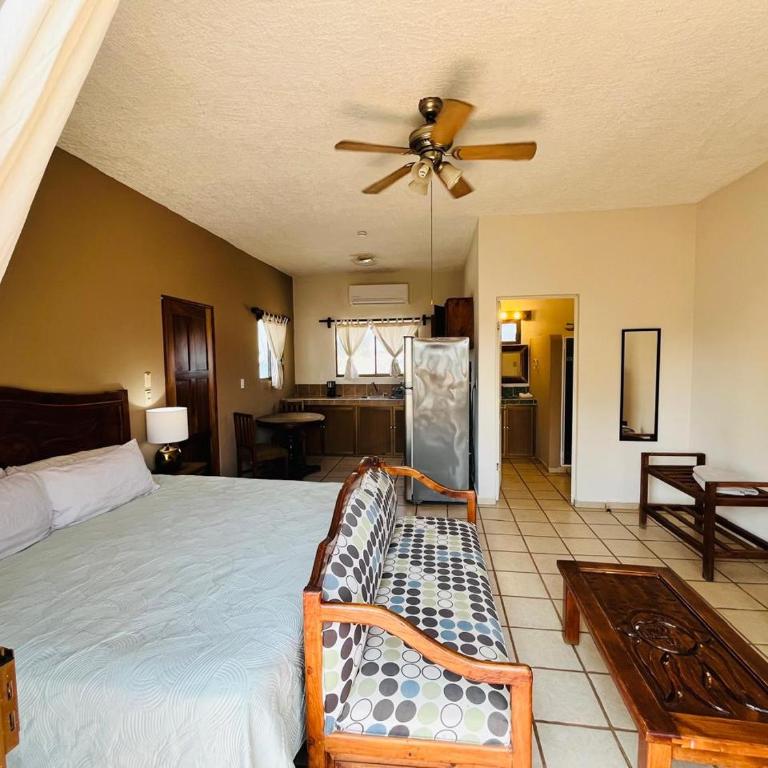 Hotel Palmeras - Suite Superior con cama extragrande - 9