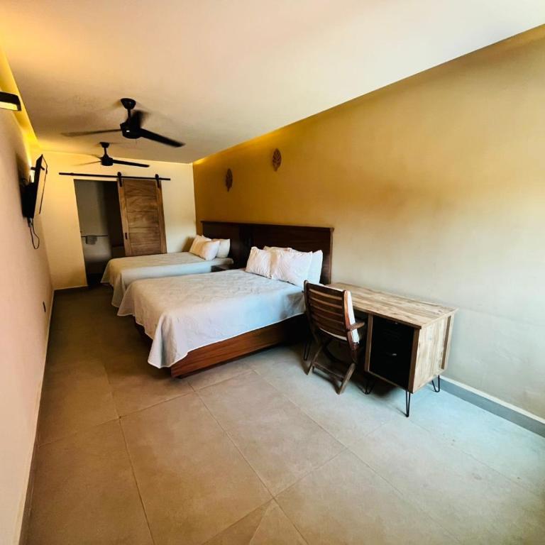 Hotel Palmeras - Estudio - 11
