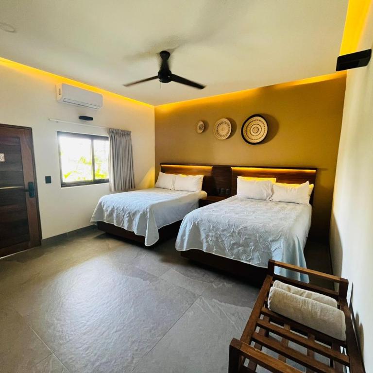 Hotel Palmeras - Estudio - 6