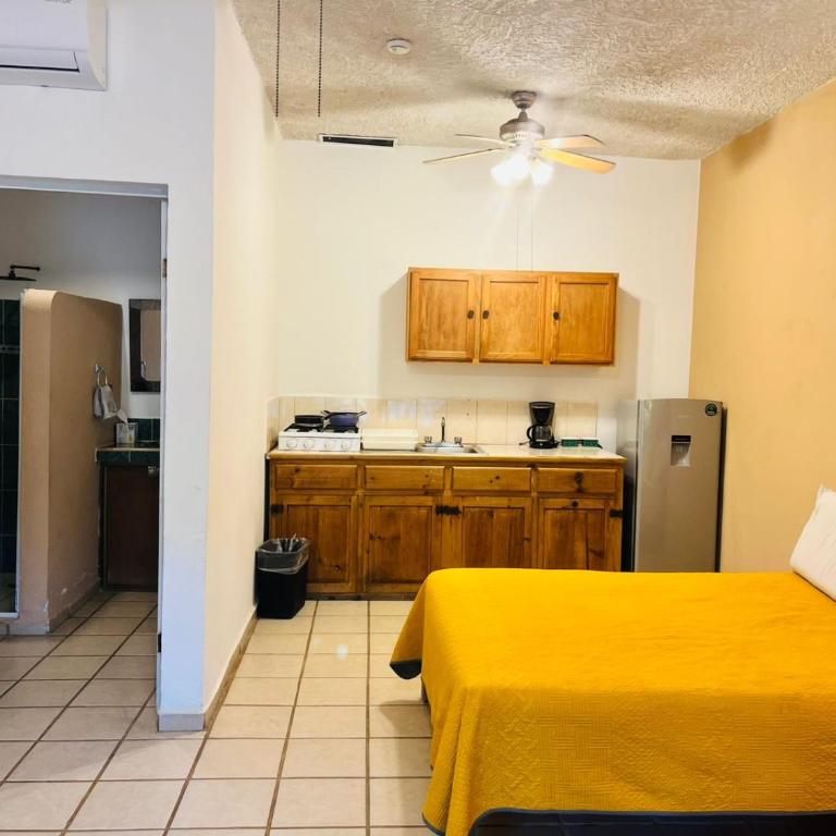 Hotel Palmeras - Suite de 1 dormitorio - 3