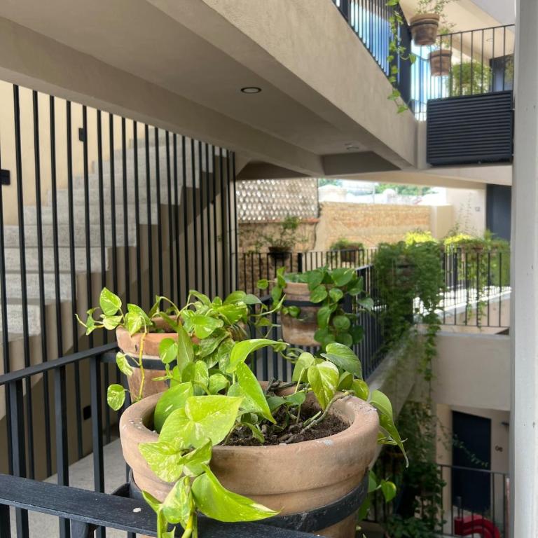 2 Bedroom 1 Bathroom Apartment Near Chapultepec Americana - Two-Bedroom Apartment - 15