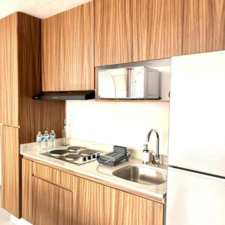2 Bedroom 1 Bathroom Apartment Near Chapultepec Americana - Two-Bedroom Apartment - 21