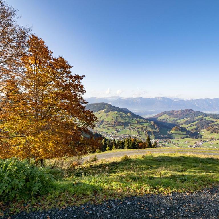 Mountain Inn - Hochquartier - Wildschönau - Studio - 5