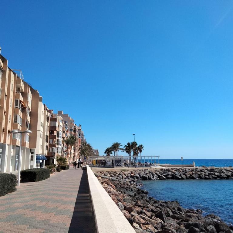 Vista playa zapillo - Apartment mit 1 Schlafzimmer - 10