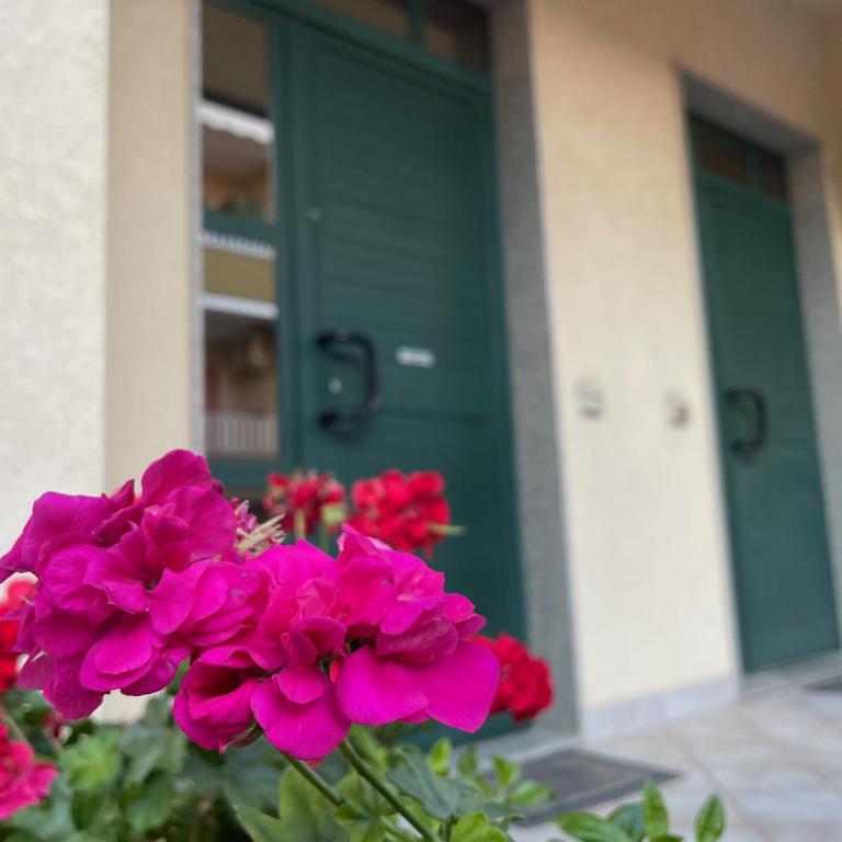 CASA BUONARROTI, comoda, pochi passi da spiaggia e centro - Apartamento de 2 dormitorios - 35