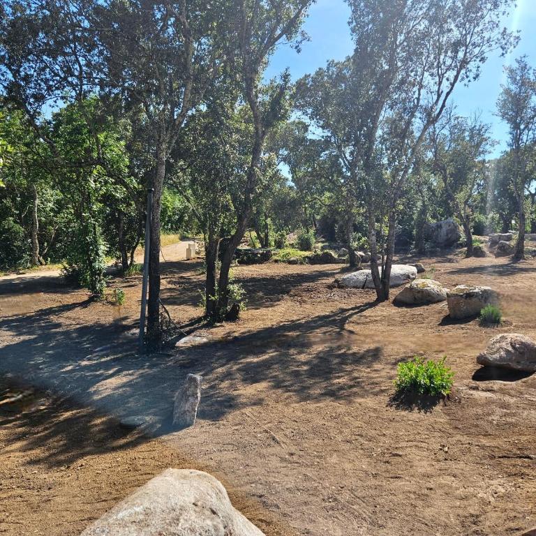 Domaine Campo Stellato - Villa con Piscina Privata - 5