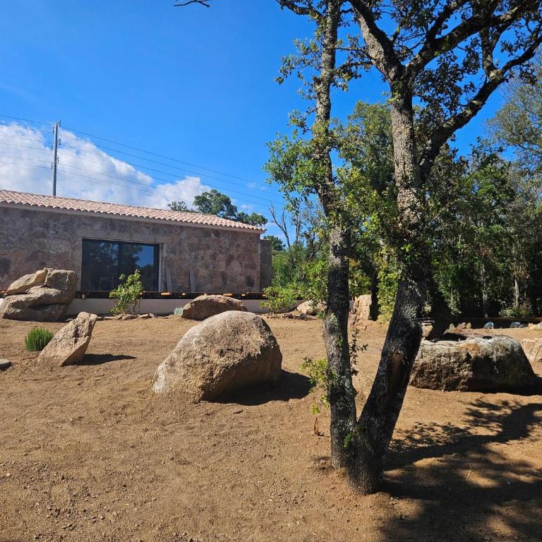 Domaine Campo Stellato - Villa con Piscina Privata - 6