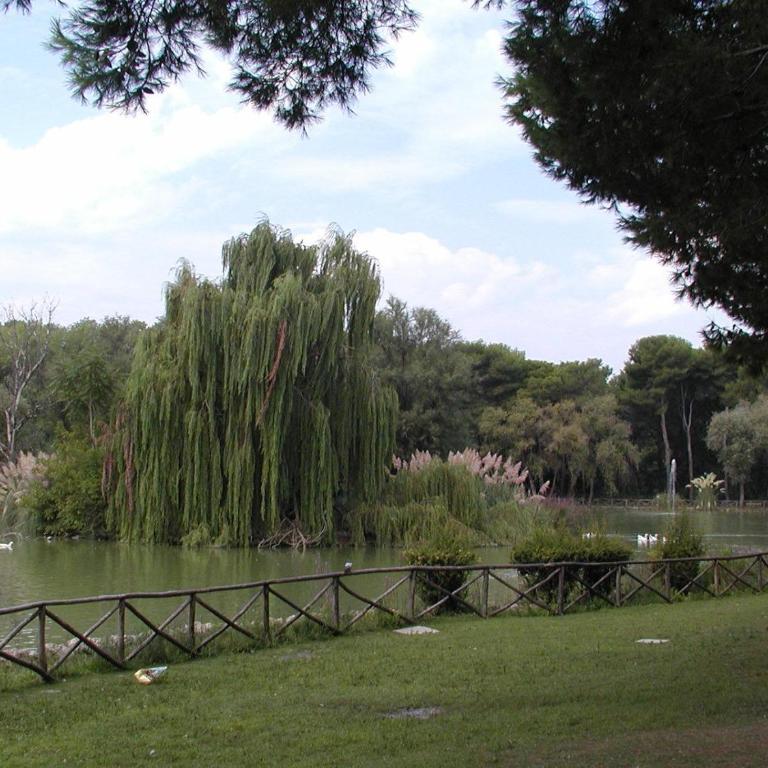 Pescara INN - Pineta Retreat - One-Bedroom Apartment - 6
