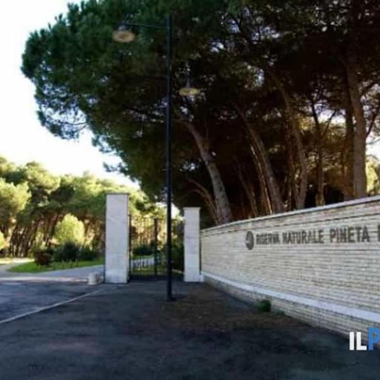 Pescara INN - Pineta Retreat - One-Bedroom Apartment - 5