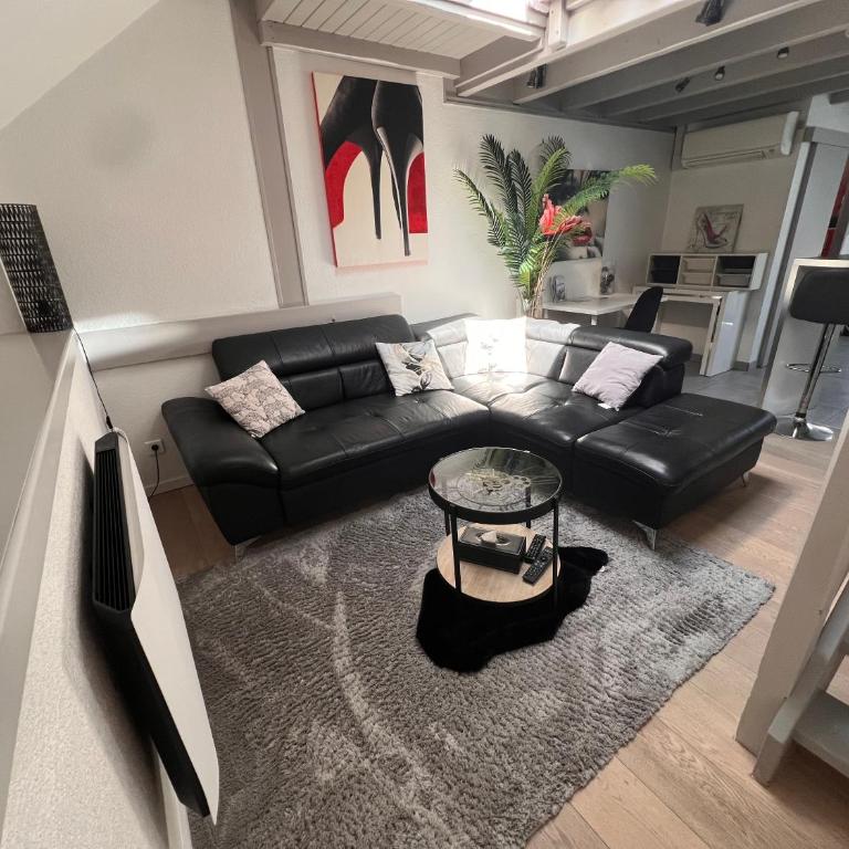 Cosy at Home air-conditioned studio, near Annecy - Appartement 1 Chambre - 14