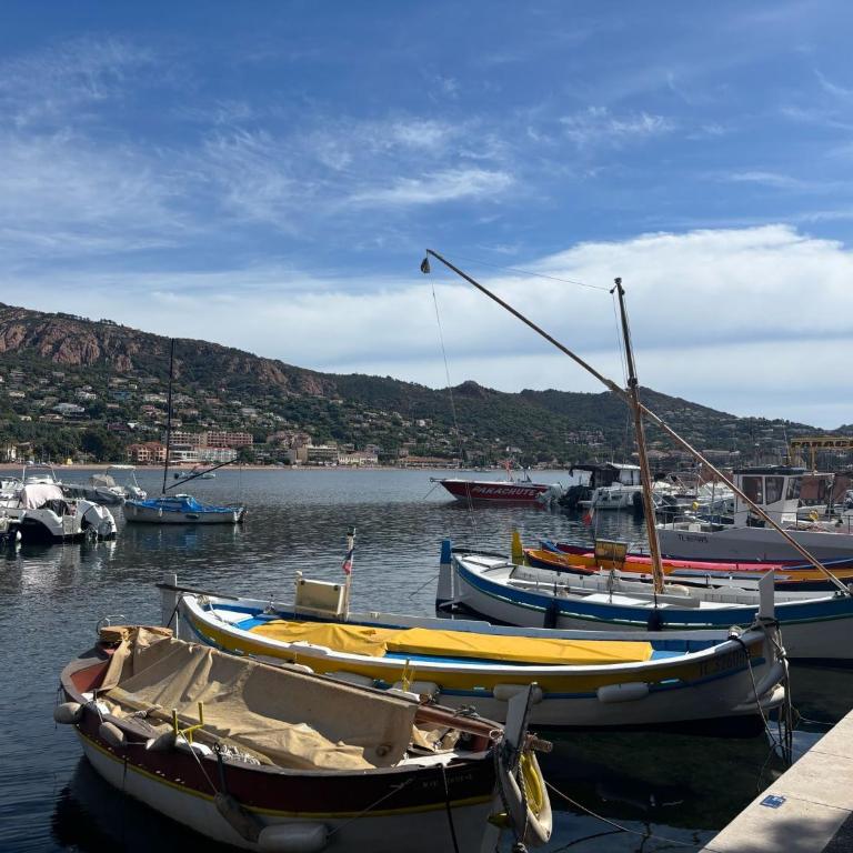 Studio climatisé avec une vue mer panoramique sur la baie d'Agay - Appartement 1 Chambre - 19