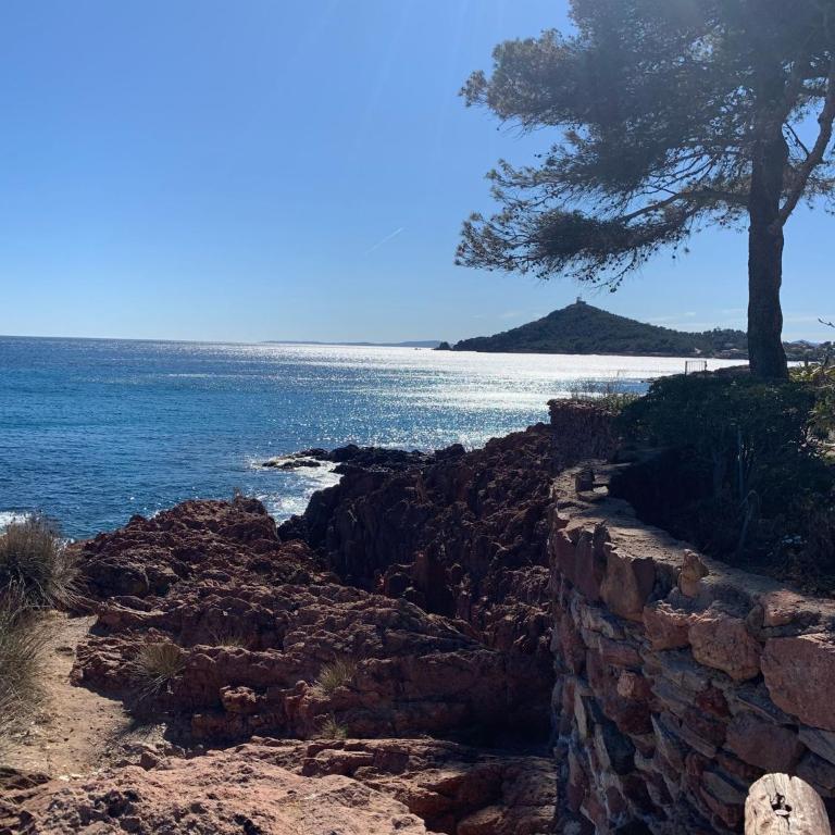Studio climatisé avec une vue mer panoramique sur la baie d'Agay - Appartement 1 Chambre - 23