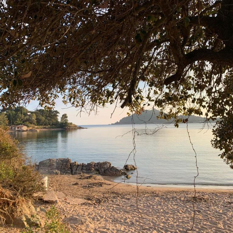 Studio climatisé avec une vue mer panoramique sur la baie d'Agay - Appartement 1 Chambre - 26