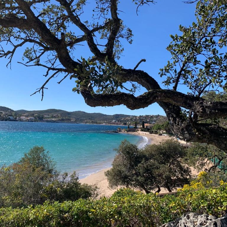 Studio climatisé avec une vue mer panoramique sur la baie d'Agay - Appartement 1 Chambre - 25