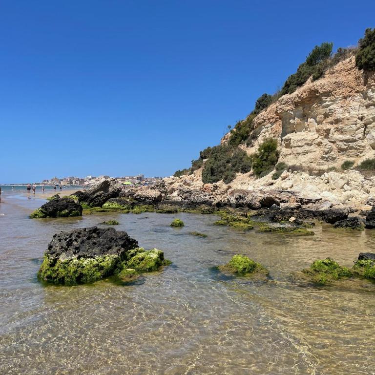 CASA BUONARROTI, comoda, pochi passi da spiaggia e centro - Apartamento de 2 dormitorios - 40