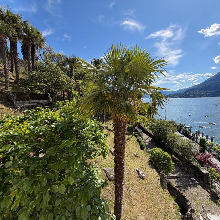 Villa Guardini - Lago di Como - Villa - 5