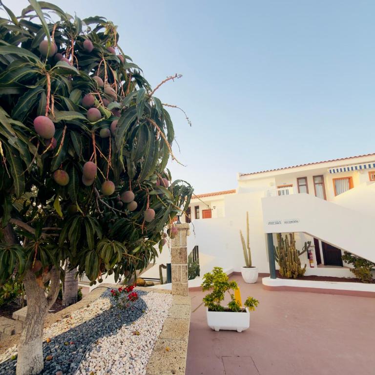 Malibu Park Chill & Sun - Apartment mit 1 Schlafzimmer - 30