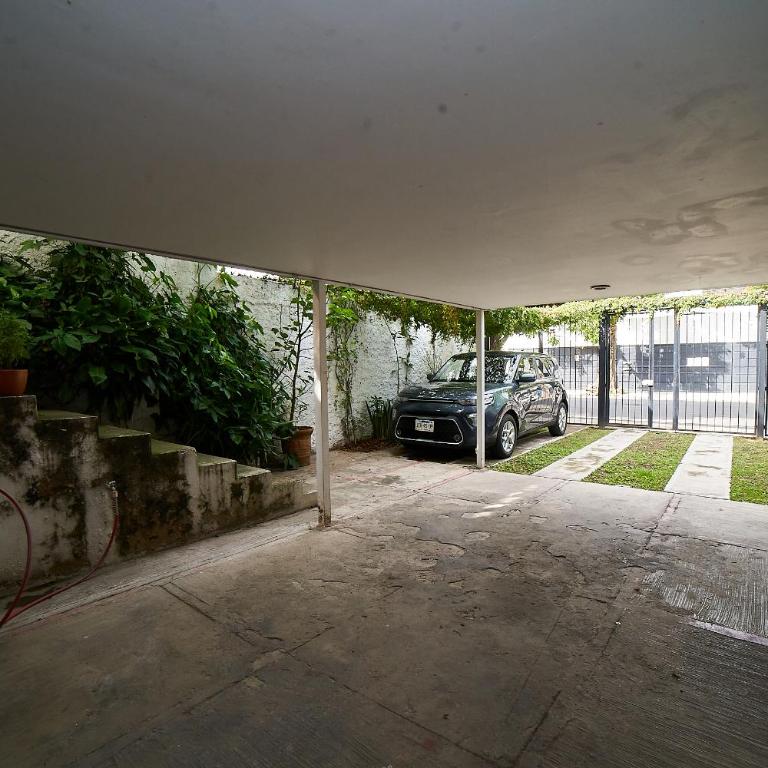 Glasshouse - Amplio Depa 4 Cuartos - 2 Patios - Col Americana - Apartment - 16
