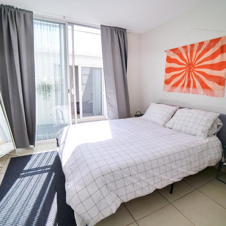 Glasshouse - Amplio Depa 4 Cuartos - 2 Patios - Col Americana - Apartment - 17