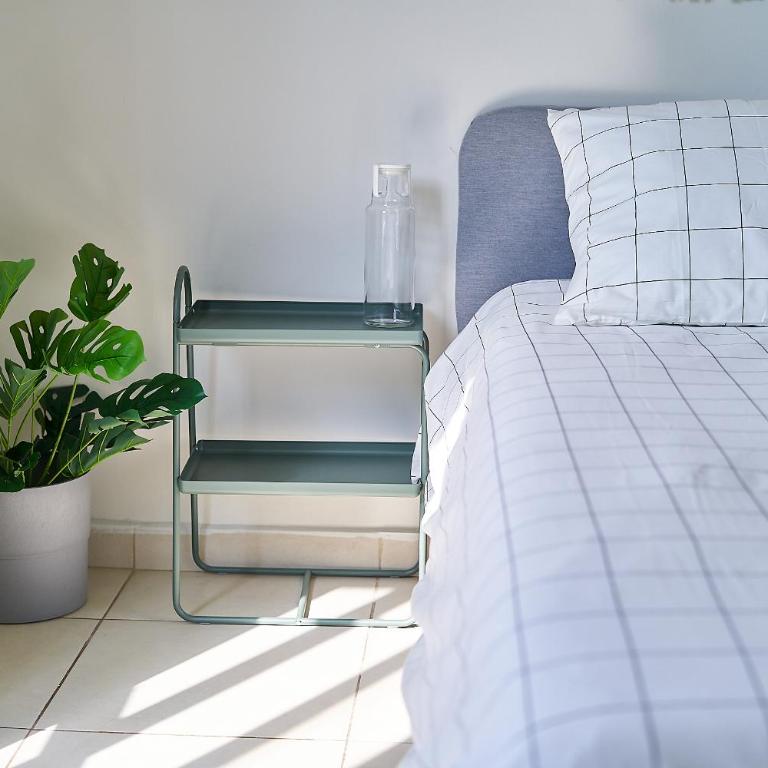 Glasshouse - Amplio Depa 4 Cuartos - 2 Patios - Col Americana - Apartment - 37