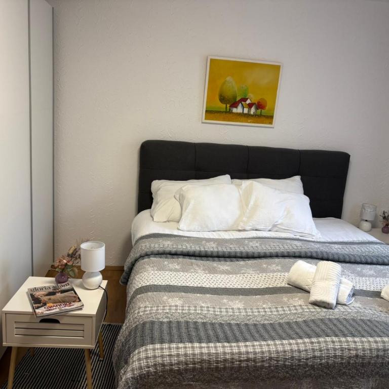 Stepa apartman - Apartman sa 1 Spavaćom Sobom - 15