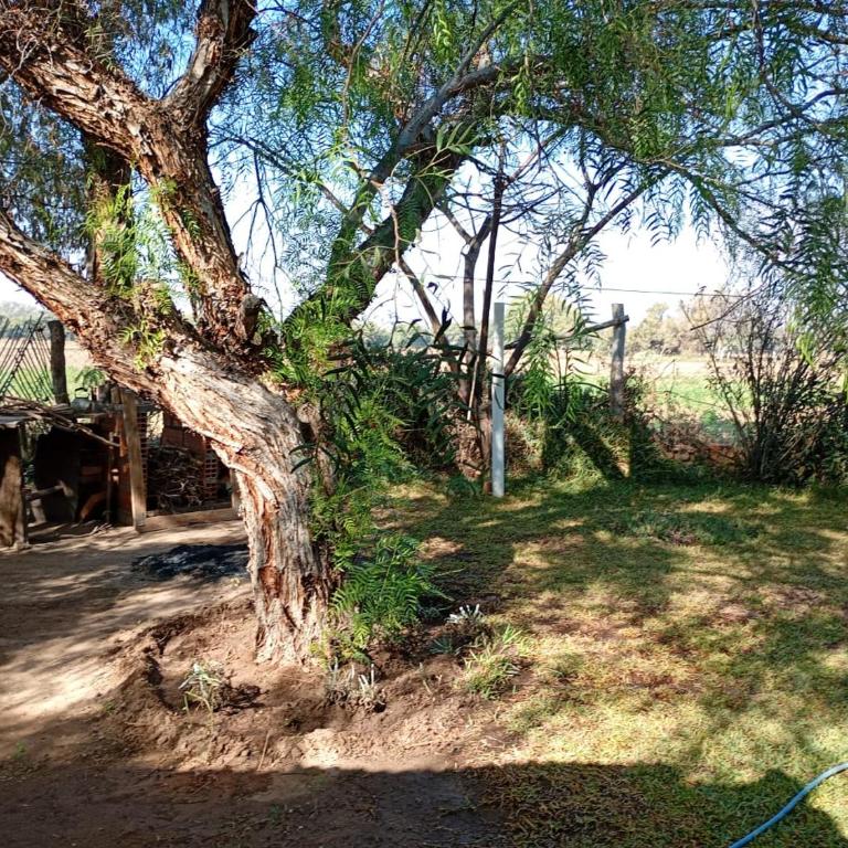 La Casa del Molle - Casa de 3 dormitorios - 16