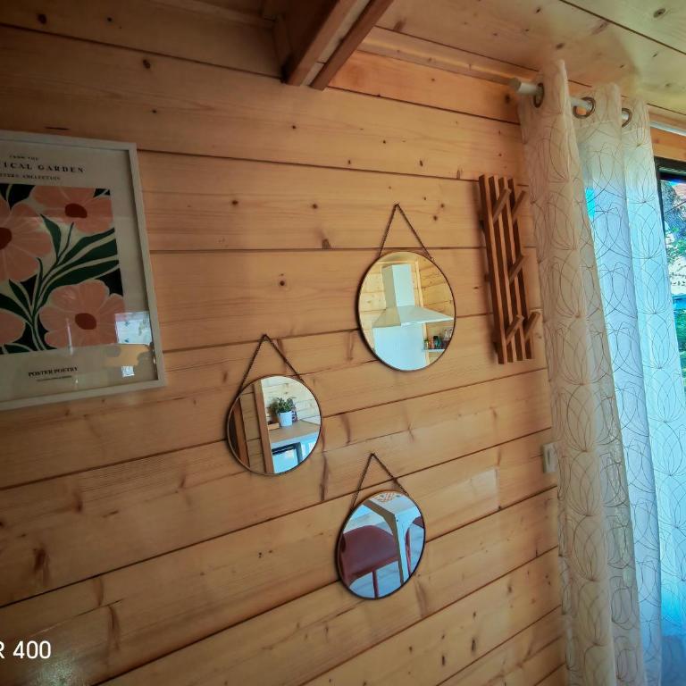 Tiny house climatisée en bord de bassin - Appartement 1 Chambre - 3