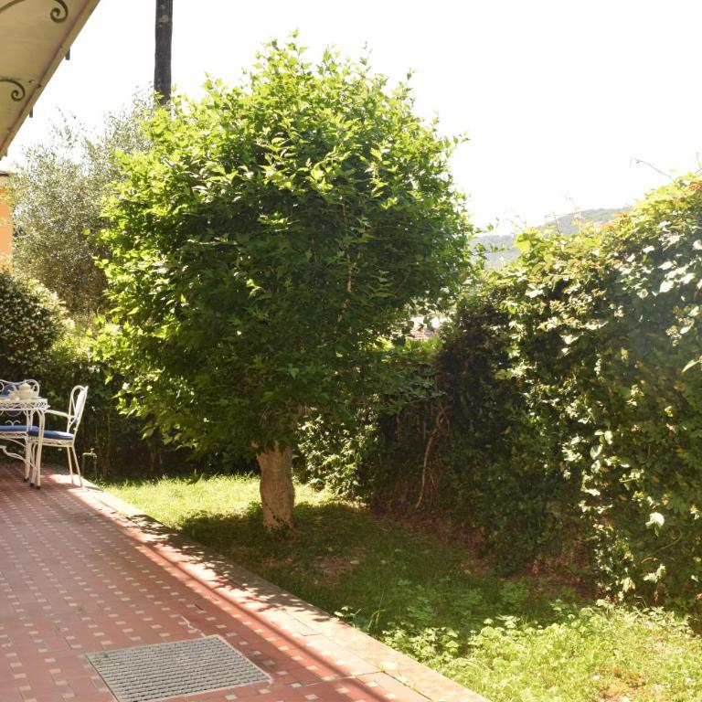 Riviera Garden Apartment - Appartamento - 14