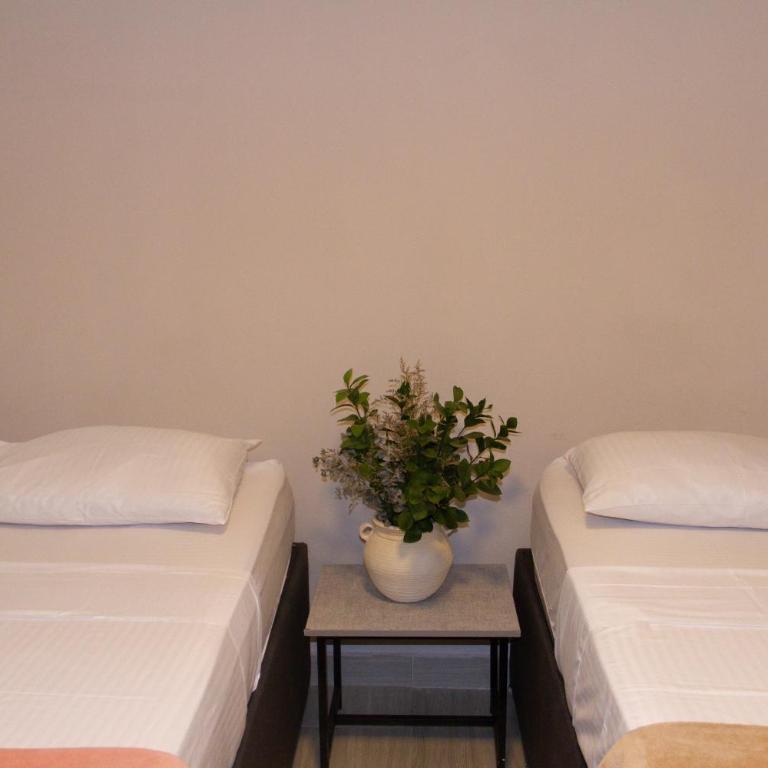 Hotel Rodadero Beach Blue - Habitación Cuádruple Estándar - 12
