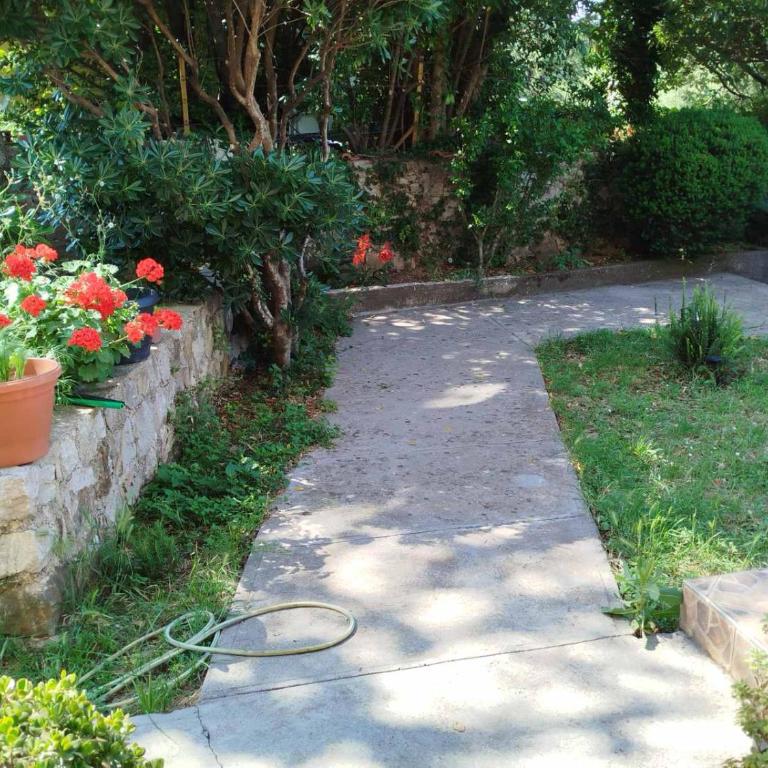 Pineapple - Apartman sa 1 Spavaćom Sobom - 1
