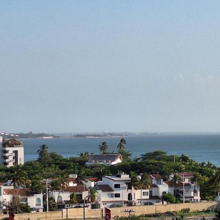 Nuevo y lujoso apartamento en Cabo Tortuga - Apartamento de 1 dormitorio - 38