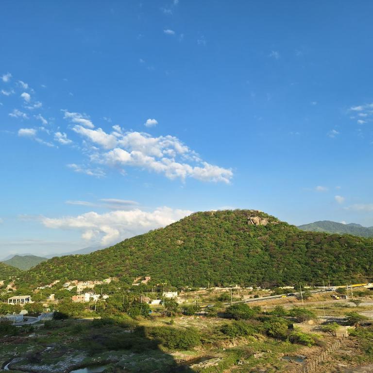 Nuevo y lujoso apartamento en Cabo Tortuga - Apartamento de 1 dormitorio - 47
