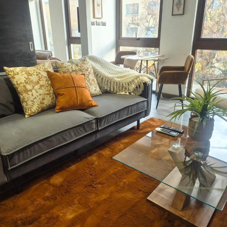 Oasis in Santiago, free parking, pool and gym - Apartamento Deluxe de 1 dormitorio - 2