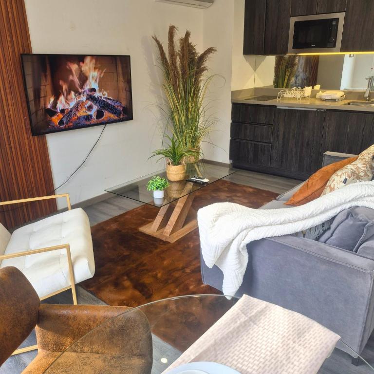 Oasis in Santiago, free parking, pool and gym - Apartamento Deluxe de 1 dormitorio - 18