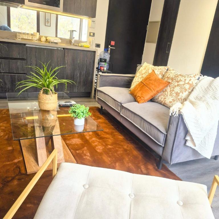 Oasis in Santiago, free parking, pool and gym - Apartamento Deluxe de 1 dormitorio - 17