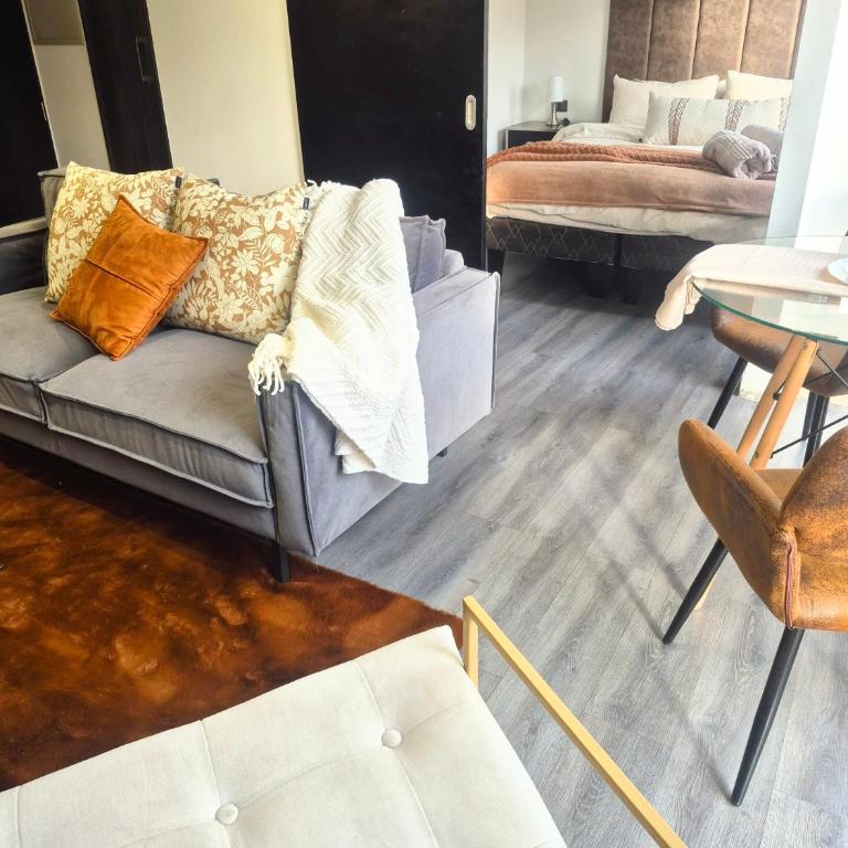 Oasis in Santiago, free parking, pool and gym - Apartamento Deluxe de 1 dormitorio - 3