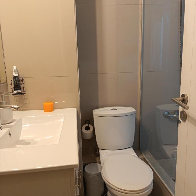 A pasos de Metro Toesca y Movistar Arena - Apartamento de 1 dormitorio - 4