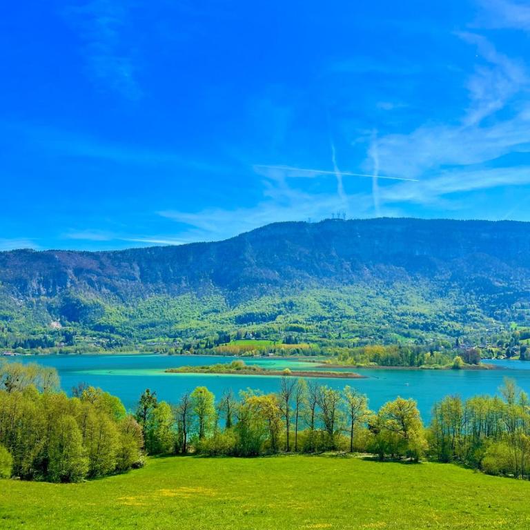 Evasion entre lac et montagne Spa Billard Fitness - Appartement 1 Chambre - 46