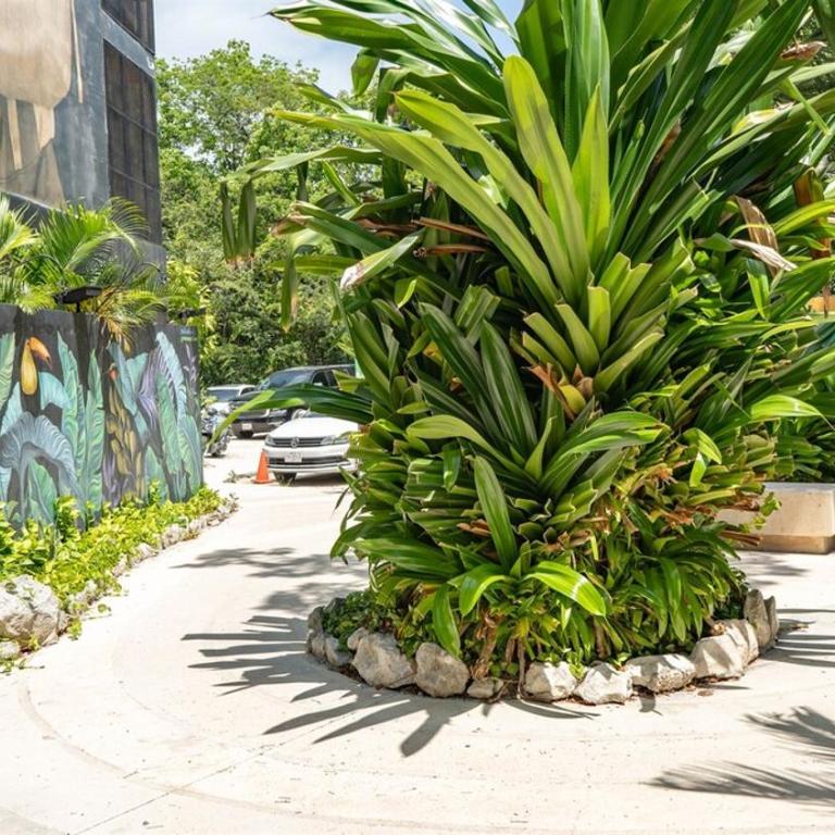 Oasis Penthouse in Tuk Private Pool - Apartamento de 1 dormitorio - 49