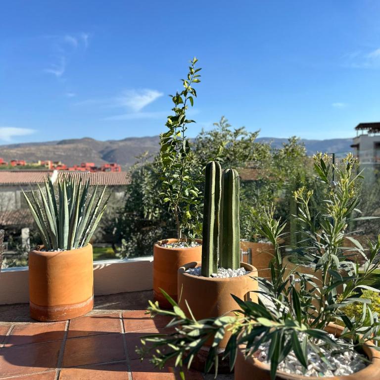 Private Pool, Mountain View, La Escondida 5BR - Casa - 25