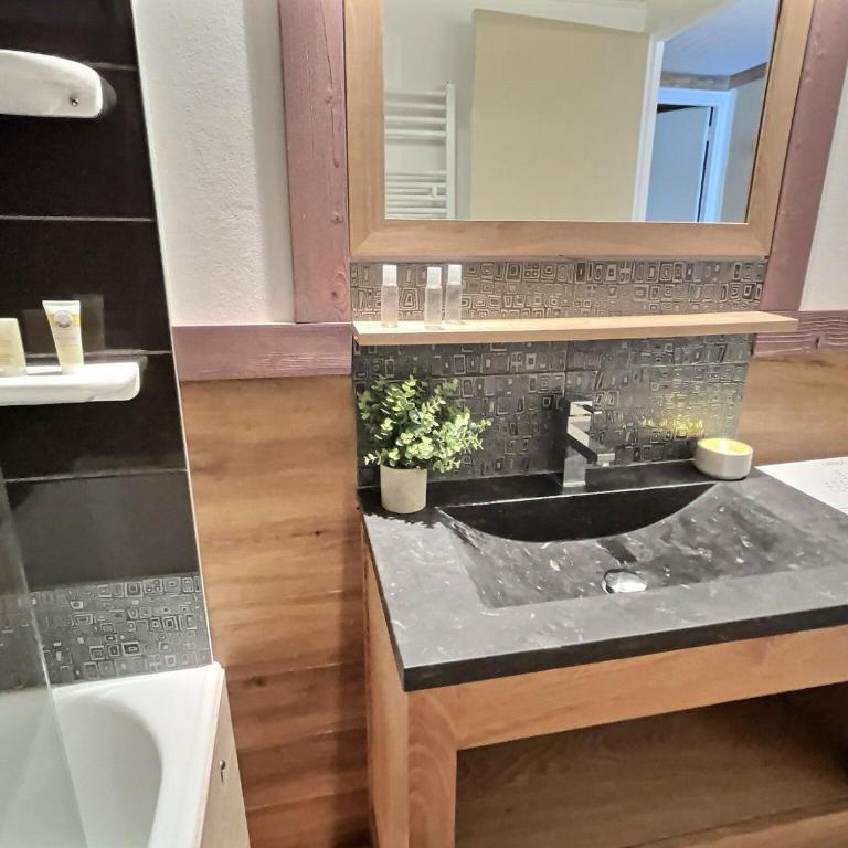 Appartement 2 pièces vue montagne - 4 pers. - FR-1-411-554 - Appartamento (4 Adulti) - 14