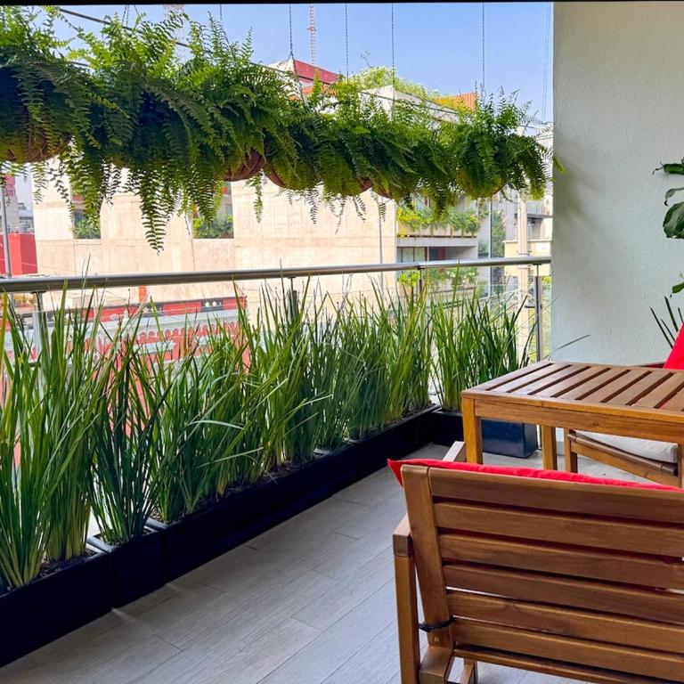 Spacious and bright 3-bedroom apartment in Roma Norte - Three-Bedroom Apartment - 9